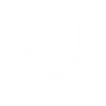mfsjapan